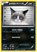 grumpy cat in