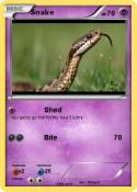 Snake