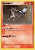owning cat!!!