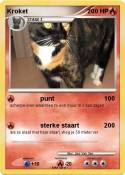 Kroket