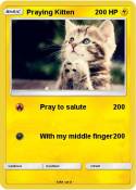Praying Kitten