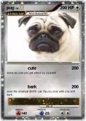 pug