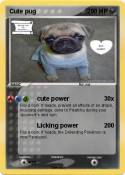 Cute pug