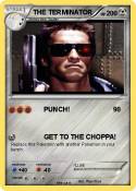 THE TERMINATOR