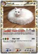 Floof cat