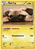 Bolt Pug