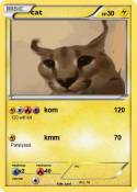 cat