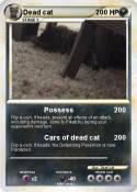 Dead cat