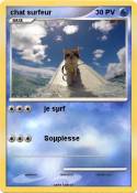 chat surfeur