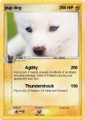 pup dog
