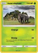 Asian elephant