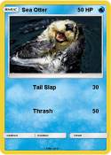 Sea Otter