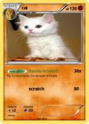 cat