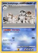 bébé huskymega