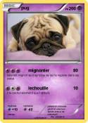 pug