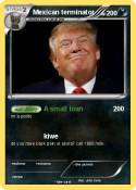 Mexican termina