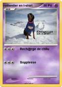 rottweiler en