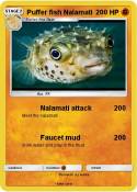 Puffer fish
