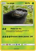 Le singe