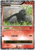 minerturtle