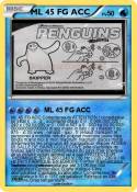 ML 45 FG ACC
