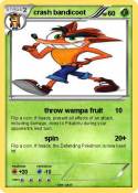 crash bandicoot