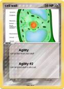 cell wall