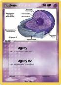 nucleus
