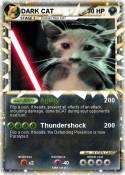 DARK CAT