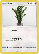 Plant