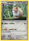 cat master