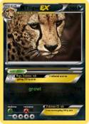 TIiger