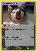 derp dog level