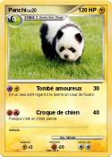 Panchi