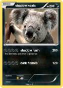 shadow koala