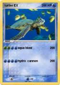 turtler EX