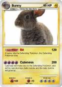 Bunny