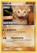 bacan cat