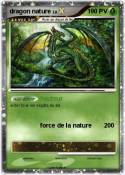 dragon nature