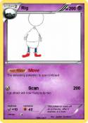 Rig