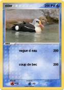 eider