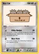 Box Cat