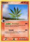 canabice
