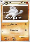 Why cat