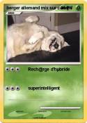 berger allemand