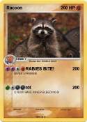 Racoon