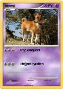 basenji