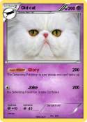 Old cat