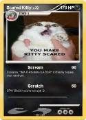 Scared Kitty