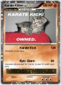 Karate Kitten